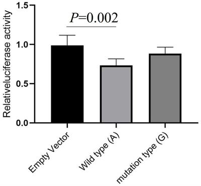 Genetic Polymorphism of rs13306146 Affects α2AAR Expression and Associated With Postpartum Depressive Symptoms in Chinese Women Who Received Cesarean Section